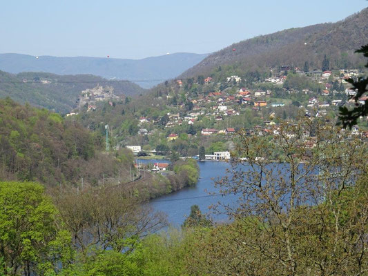 Blick auf die Elbe mit der Burg Schreckenstein