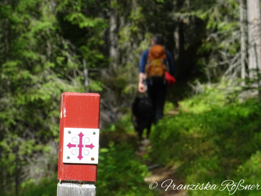 Auf dem Pilgrimsleden