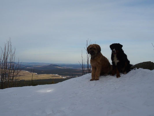 Am Amtsfelsen