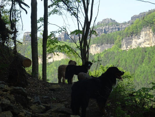 Auf dem Mittelhangweg