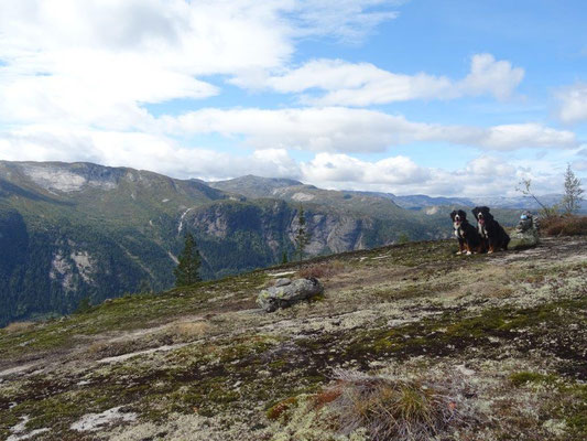 Aufstieg zum Homfjellet
