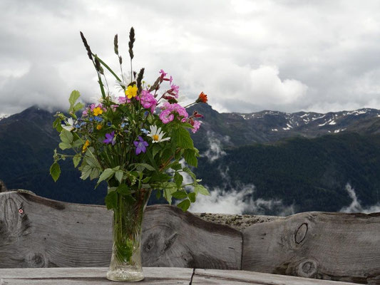 Blütenpracht an der Gottschaunalm