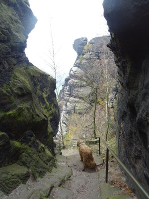 Im Lilienstein-Südaufstieg