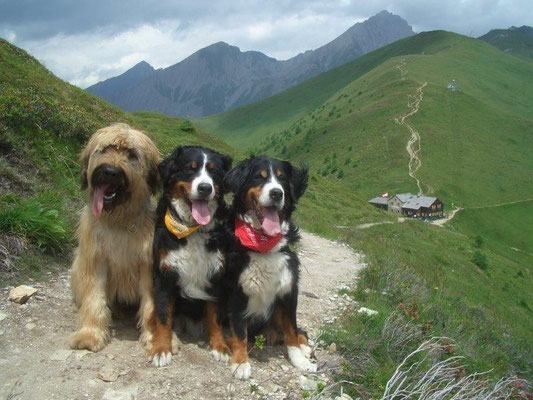 Nepomuk, Gusti und Senta am Kals-Matreier-Törl