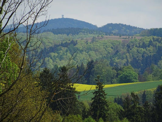 Blick zum Weifberg bei Hinterhermsdorf