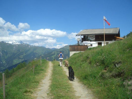 Die Zunigalm