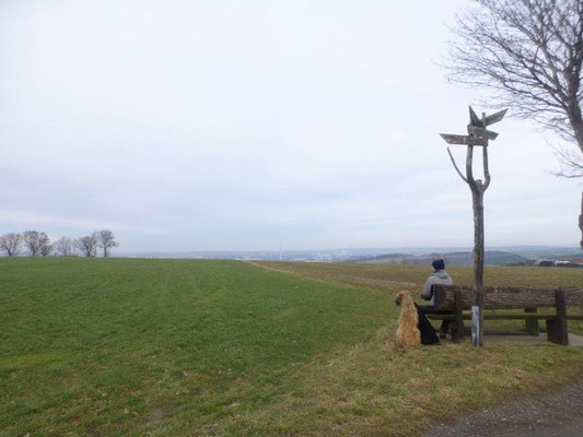 Aussichtsbank kurz vor Berbisdorf