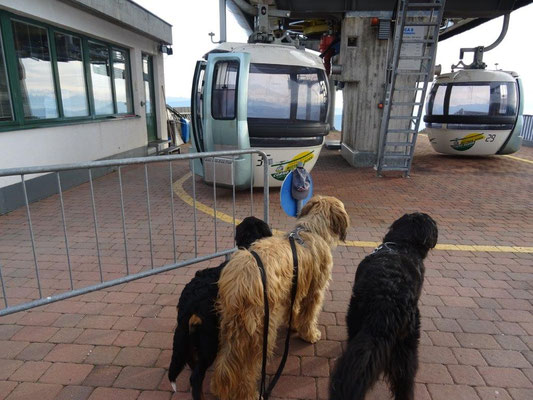 Zurück an der Umlaufbahn Pemmern