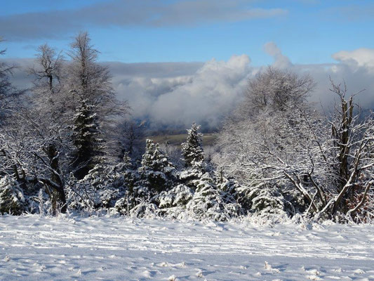 Während wir bei strahlendem Sonnenschein im Schnee standen, war es ringsum schneefrei und trübe