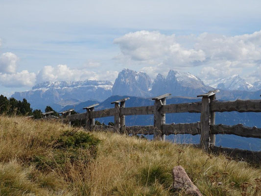 Blick zu den Dolomiten
