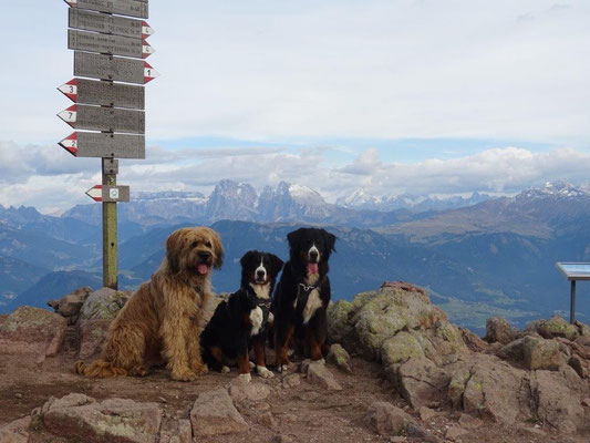 Auf dem Rittner Horn