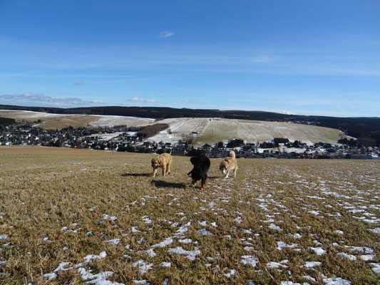 Die Wiesen bei Neudorf laden unsere Fellnasen zum Toben ein