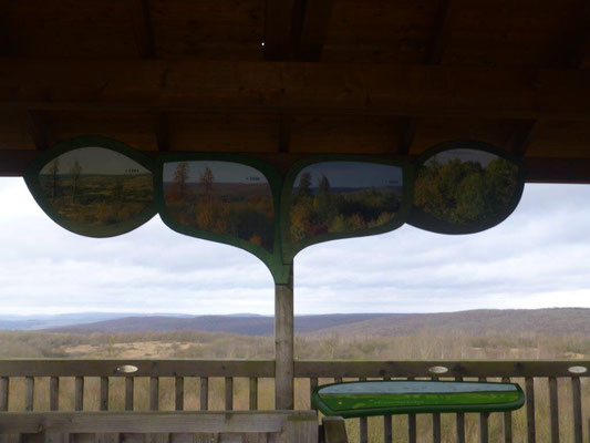 Vom Aussichtsturm kann man den Blick weit übers Land schweifen lassen.