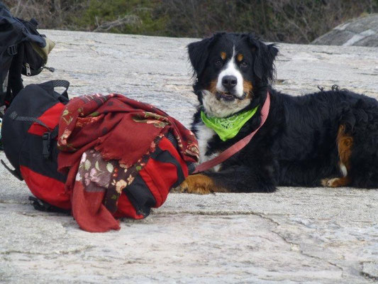 Rast auf dem Monte Brione