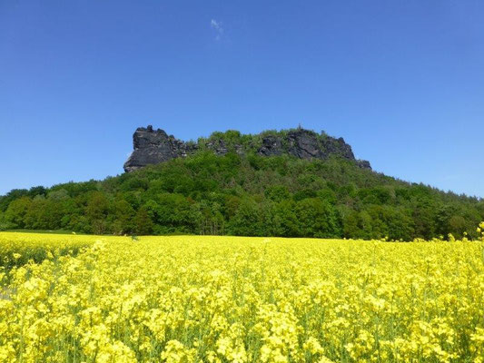 Der Lilienstein