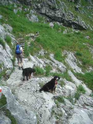 Auf dem Rinnkendlsteig