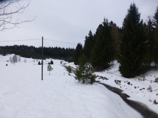 Blick ins verschneite Schwarzwassertal