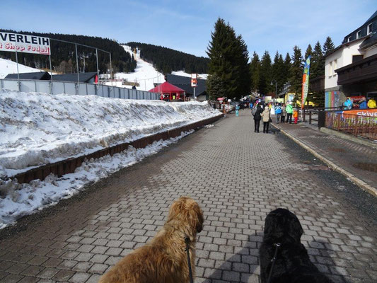 Winterferien in Oberwiesenthal