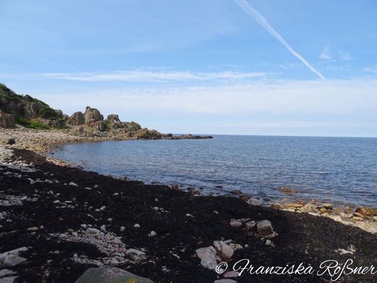 Im Naturreservat Hovs Hallar