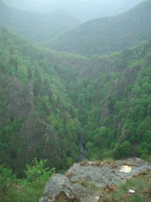 Eng und tief ist das Bodetal unterhalb der Roßtrappe