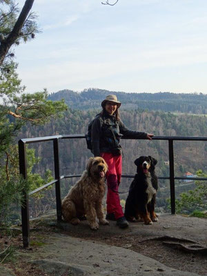 Letzte Aussicht überm Elbtal