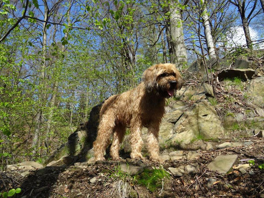 Nepomuk auf dem Bergpfad zum Raubschloß