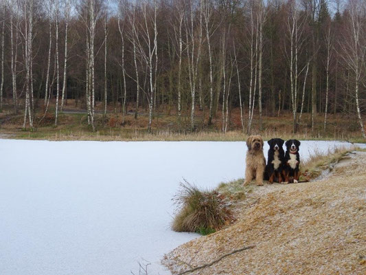 Am Vlčí jezero
