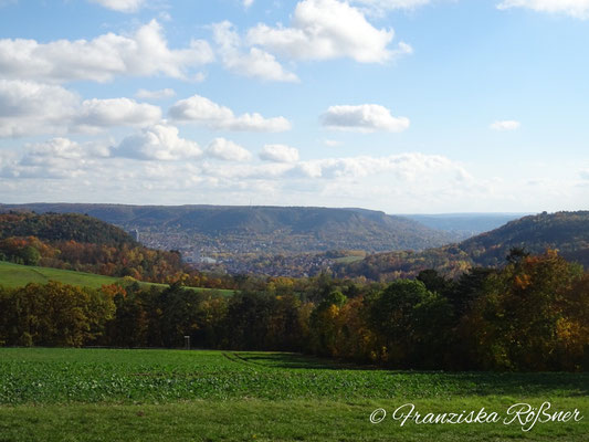 Blick auf Jena