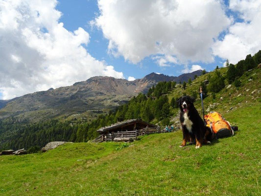 Die äußere Pilsbergalm