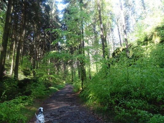 Auf dem Weg zum Winterstein