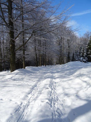 Unsere Spuren im Schnee