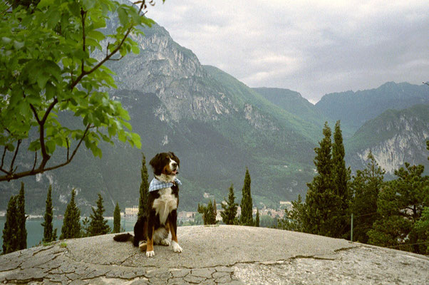 Auf dem Weg zum Monte Brione