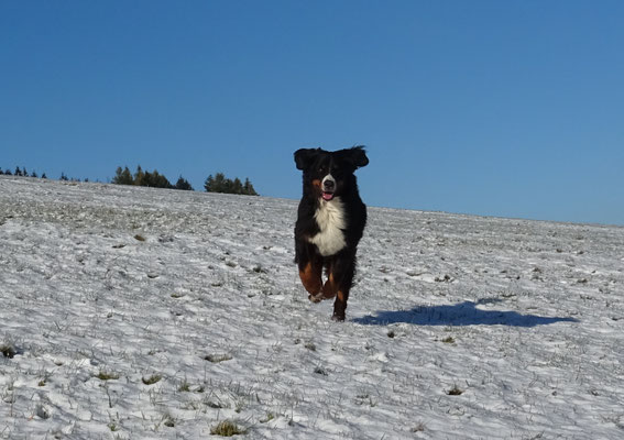 Vreni freut sich über den ersten Schnee