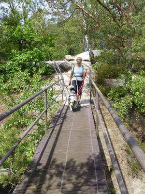 Gitterbrücke auf dem Rauenstein