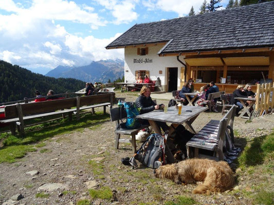 Pause an der Mahd-Alm