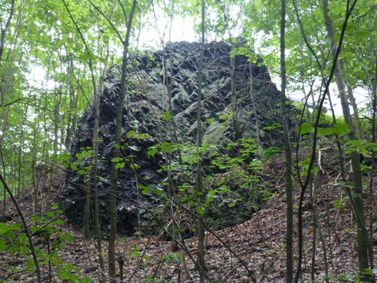 Basalt am Großen Winterberg