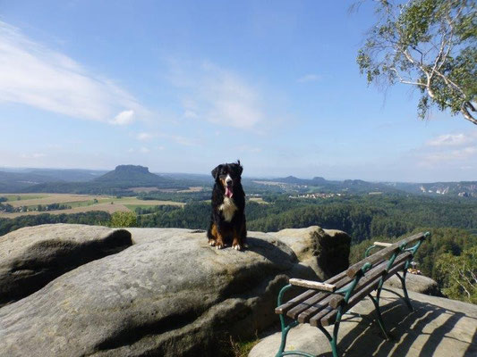 Aussicht bei Waitzdorf