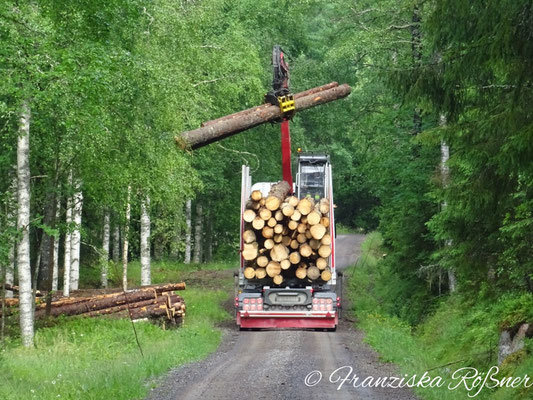 Eine zierliche Frau bei der Arbeit auf ihrem Holzlaster