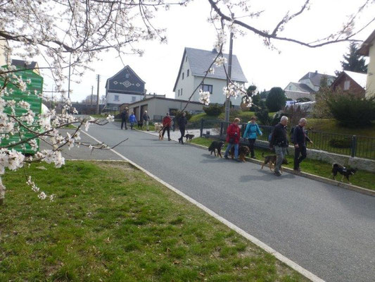 Frühlingserwachen in Markersbach