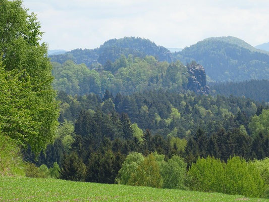 Blick vom Panoramaweg zum "Neuen Wildenstein" - da wollen wir hin :-)