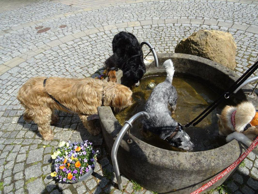 Durst löschen in Lichtenhain