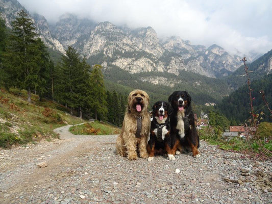 Abschlußspaziergang bei Weißlahnbad
