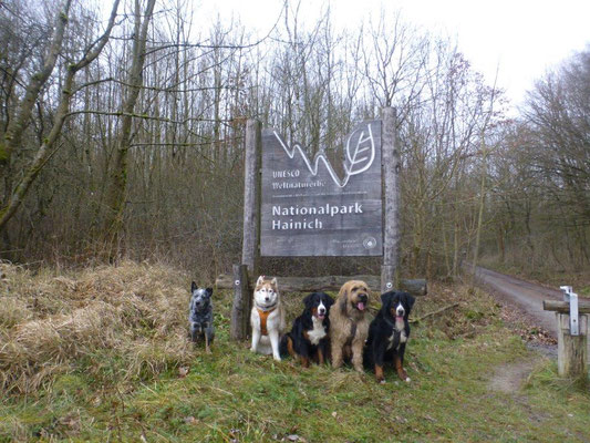 Natürlich darf auch ein Gruppenfoto nicht fehlen