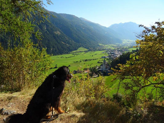 Blick von der Burgruine Reichenberg nach Taufers