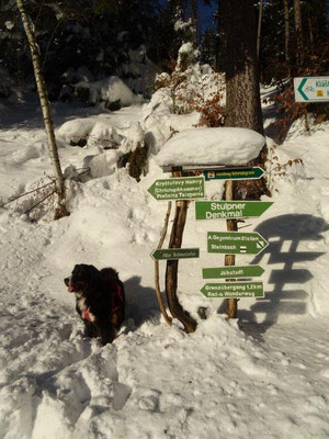 Wegweiser am Ortsausgang von Schmalzgrube