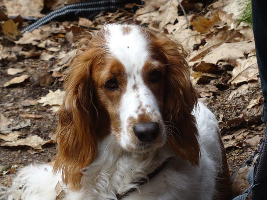 Lilly