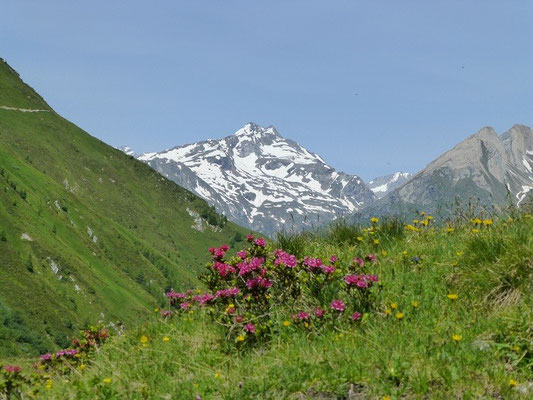 Aufstieg zum Bergerkogel