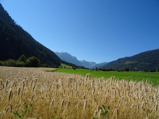 Munstertal bei Taufers - Blick Richtung Schweiz