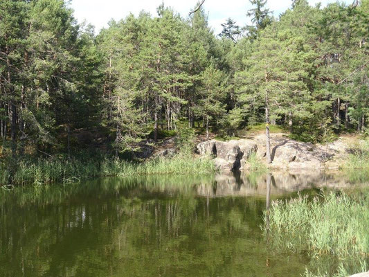 Der malerische Göllersee bei Algund
