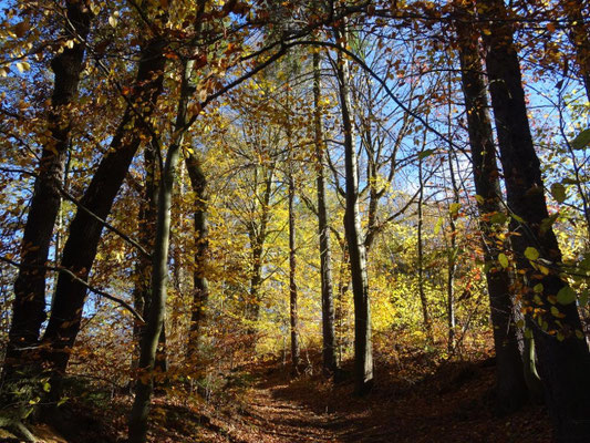 Goldener Herbst